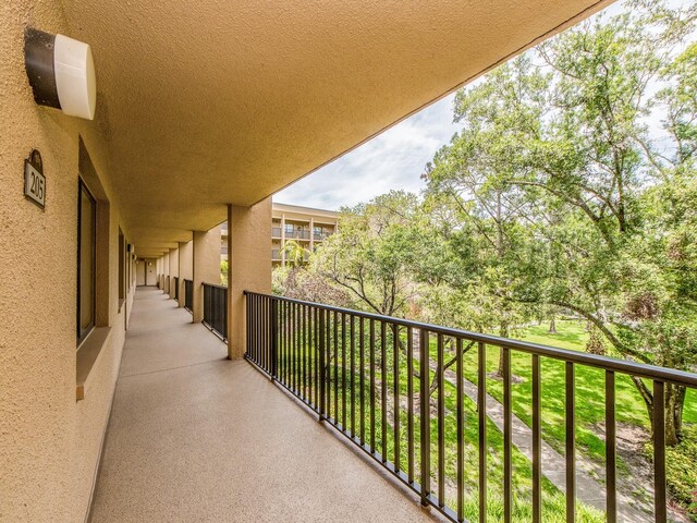 3078 Eastland Blvd Unit 205, Clearwater, FL 33761 - photo 7