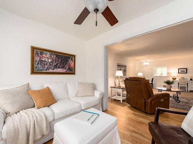 3078 Eastland Blvd Unit 205, Clearwater, FL 33761 - photo 22