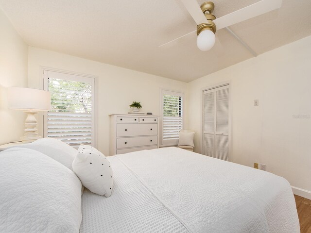 3078 Eastland Blvd Unit 205, Clearwater, FL 33761 - photo 25
