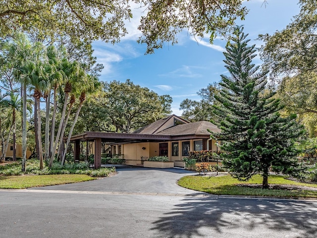 3078 Eastland Blvd Unit 205, Clearwater, FL 33761 - photo 37