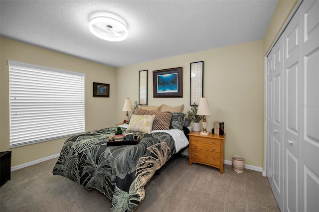 1115 Ashbourne Cir, Trinity, FL 34655 - bedroom with a closet, carpet flooring, and a textured ceiling