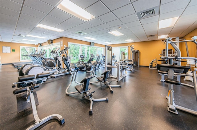 1115 Ashbourne Cir, Trinity, FL 34655 - gym with healthy amount of natural light and a drop ceiling