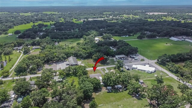 3212 Cork Rd, Plant City, FL 33565 - photo 79
