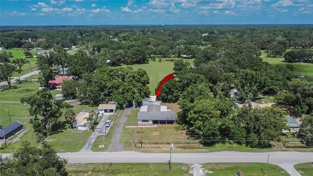 3212 Cork Rd, Plant City, FL 33565 - photo 80