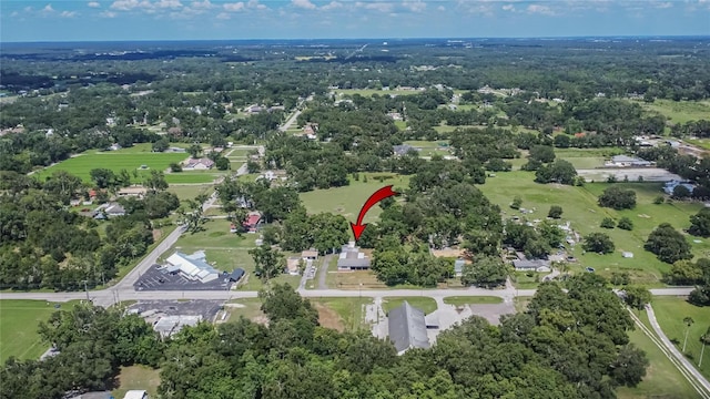 3212 Cork Rd, Plant City, FL 33565 - photo 81