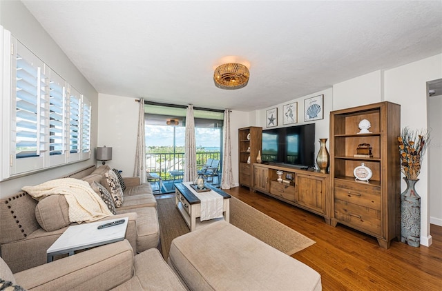 1324 Pasadena Ave S Unit 501, South Pasadena, FL 33707 - living area featuring wood finished floors