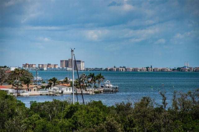 1324 Pasadena Ave S Unit 501, South Pasadena, FL 33707 - water view