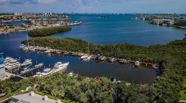 1324 Pasadena Ave S Unit 501, South Pasadena, FL 33707 - aerial view of a large body of water and a marina