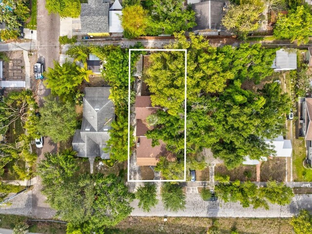5604 N Cherokee Ave, Tampa, FL 33604 - photo 34