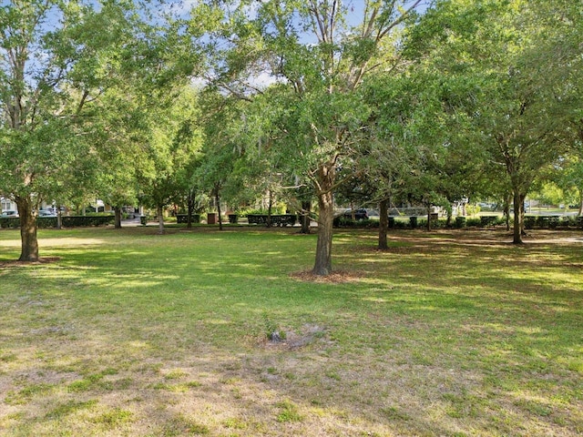 5604 N Cherokee Ave, Tampa, FL 33604 - photo 46