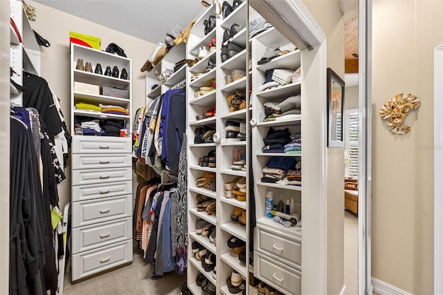 15744 Crystal Waters Dr, Wimauma, FL 33598 - walk in closet featuring carpet flooring
