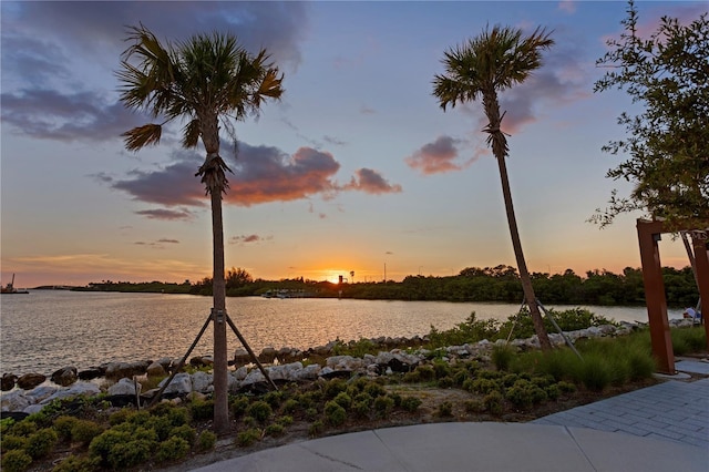 4725 Legacy Park Dr, Tampa, FL 33611 - photo 58