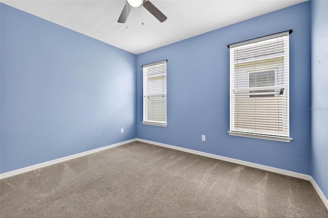 17651 Bright Wheat Dr, Lithia, FL 33547 - photo 24