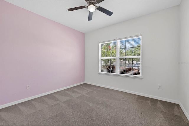 17651 Bright Wheat Dr, Lithia, FL 33547 - photo 27