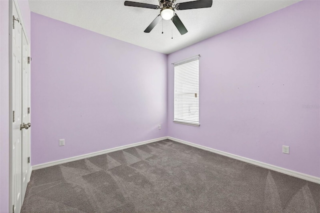 17651 Bright Wheat Dr, Lithia, FL 33547 - photo 30