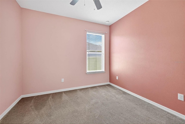 17651 Bright Wheat Dr, Lithia, FL 33547 - photo 33