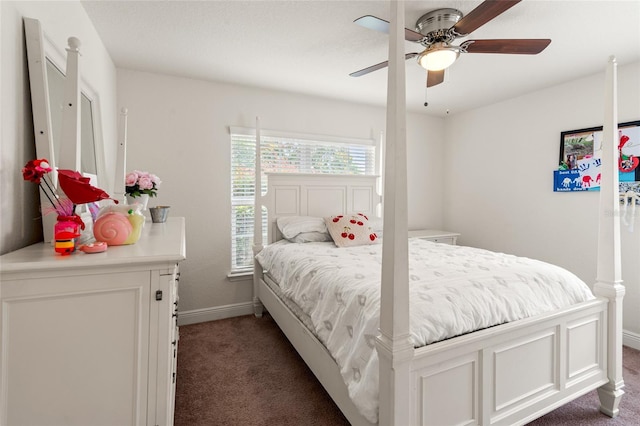 10909 Kirkwall Port Dr, Wimauma, FL 33598 - bedroom with dark carpet and a ceiling fan