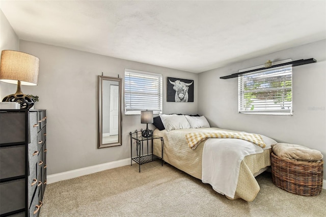 5744 Thrush Dr, New Port Richey, FL 34652 - bedroom featuring multiple windows and light carpet