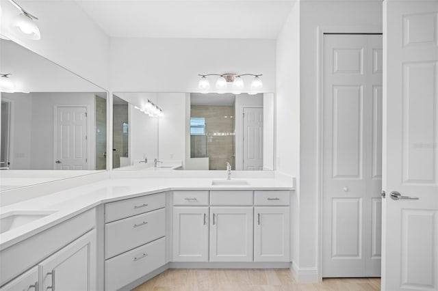12739 Rainwashed Loop, Parrish, FL 34219 - bathroom with double vanity, a tile shower, and a closet