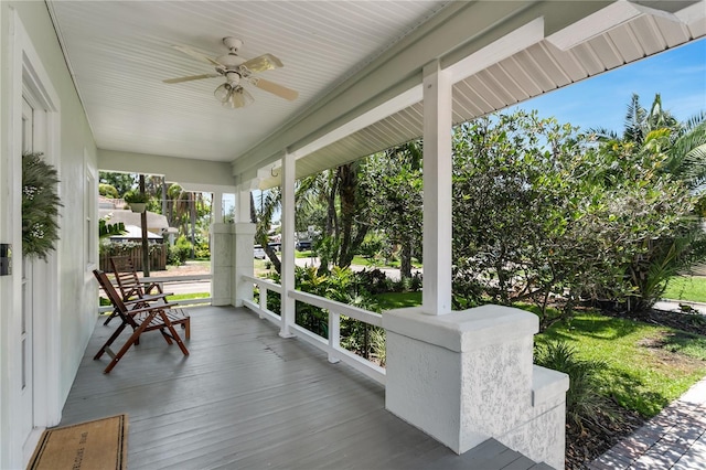 3220 W San Pedro St, Tampa, FL 33629 - photo 3