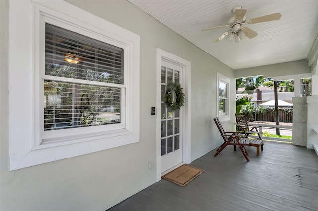3220 W San Pedro St, Tampa, FL 33629 - photo 5