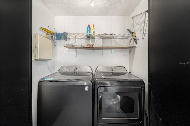 4014 Dream Oak Pl Unit 202, Tampa, FL 33613 - laundry room featuring washer and clothes dryer and a textured ceiling