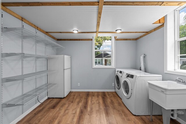 2819 N Central Ave, Tampa, FL 33602 - laundry room featuring washer and dryer and wood finished floors