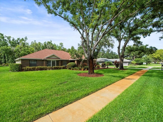 1015 Hastings Ct, Lutz, FL 33548 - ranch-style house with a front yard