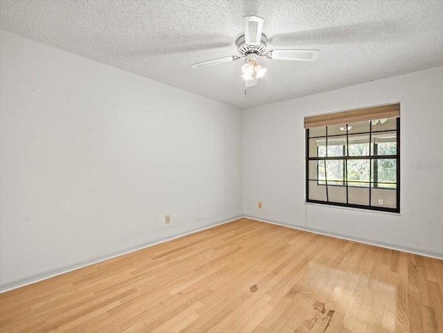 1015 Hastings Ct, Lutz, FL 33548 - spare room featuring light wood finished floors, a textured ceiling, and ceiling fan