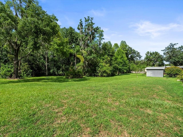 1015 Hastings Ct, Lutz, FL 33548 - view of grassy yard