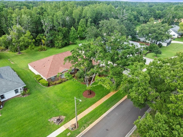 1015 Hastings Ct, Lutz, FL 33548 - aerial view of a forest