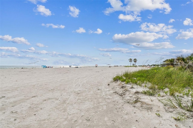 2452 Bayshore Blvd, Dunedin, FL 34698 - water view featuring nearby beach