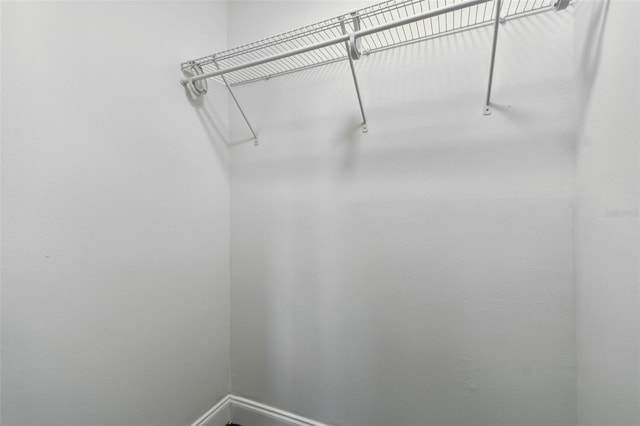 345 S Mcmullen Booth Rd Unit 142, Clearwater, FL 33759 - view of walk in closet