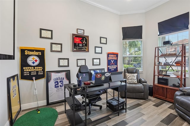 12004 Cinnamon Fern Dr, Riverview, FL 33579 - office area with wood finished floors, a towering ceiling, and crown molding