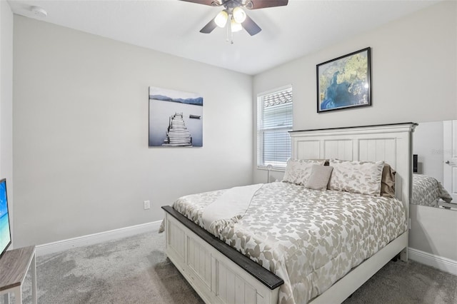 12004 Cinnamon Fern Dr, Riverview, FL 33579 - bedroom featuring carpet and ceiling fan