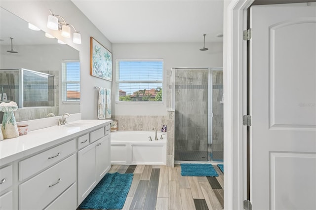 12004 Cinnamon Fern Dr, Riverview, FL 33579 - full bathroom featuring a stall shower, vanity, and a garden tub