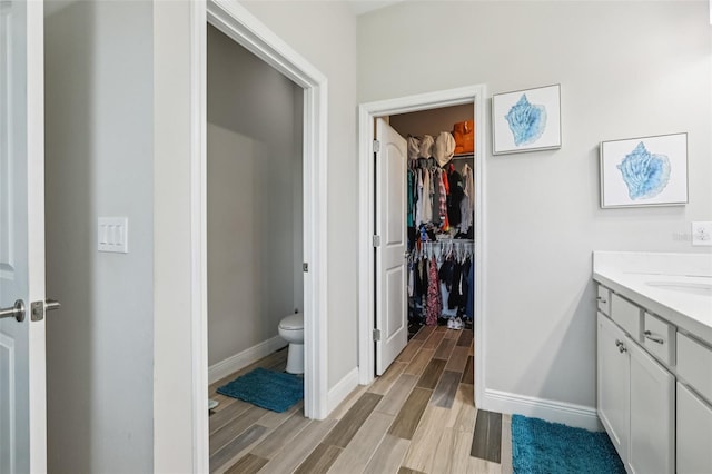 12004 Cinnamon Fern Dr, Riverview, FL 33579 - bathroom featuring wood finished floors, vanity, and a walk in closet