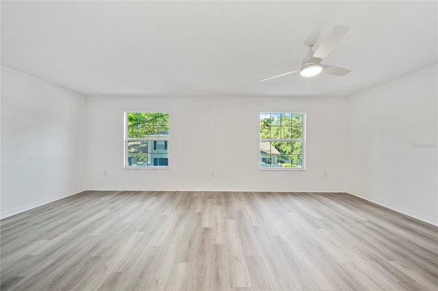 11799 Raintree Dr, Temple Terrace, FL 33617 - photo 20