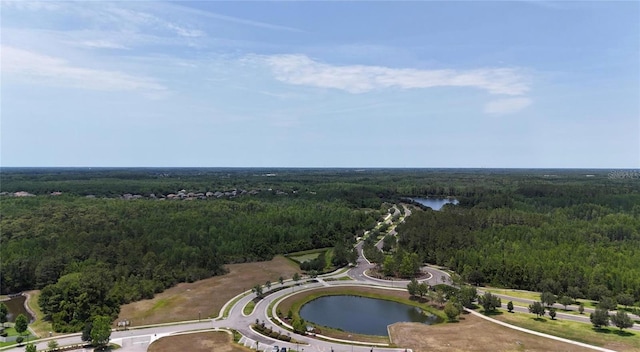 8922 Little Bluestem Dr, Land O Lakes, FL 34637 - photo 15