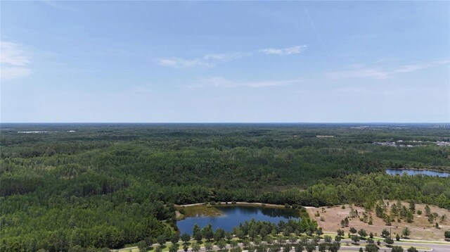 8922 Little Bluestem Dr, Land O Lakes, FL 34637 - photo 16