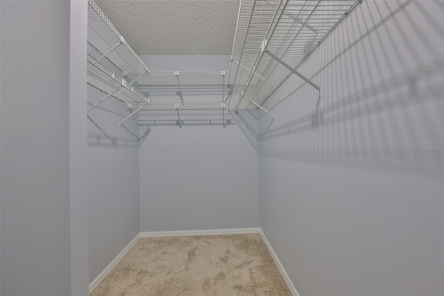 1717 Atrium Dr, Sun City Center, FL 33573 - walk in closet with carpet floors