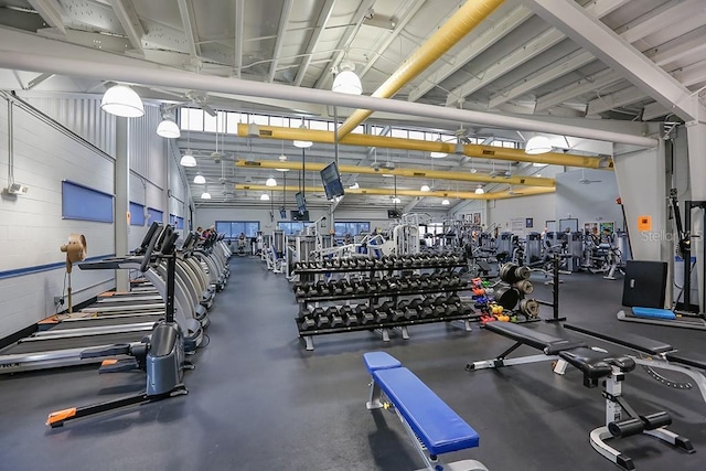1717 Atrium Dr, Sun City Center, FL 33573 - view of gym