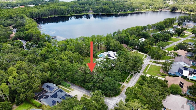 16006 Armistead Ln, Odessa, FL 33556 - aerial view of property and surrounding area with a large body of water and nearby suburban area