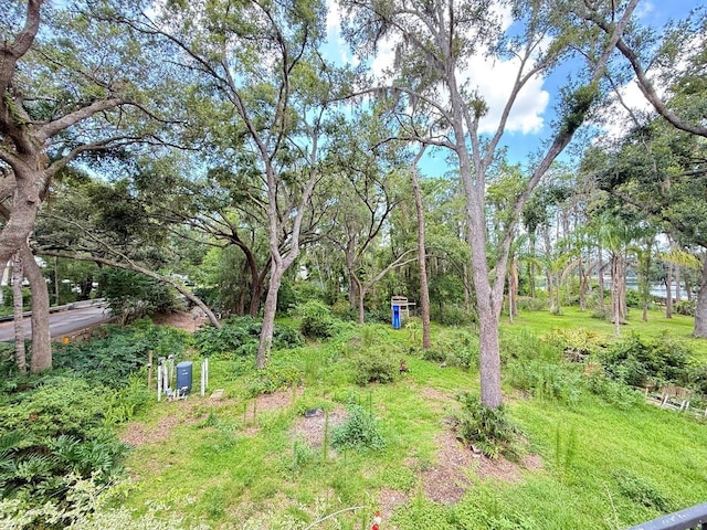 16006 Armistead Ln, Odessa, FL 33556 - view of yard