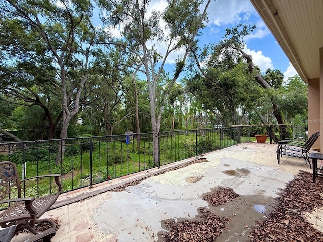 16006 Armistead Ln, Odessa, FL 33556 - view of patio