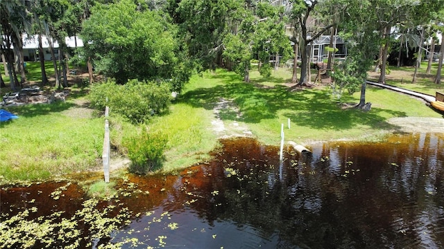 16006 Armistead Ln, Odessa, FL 33556 - view of property's community with a water view, a yard, and view of wooded area