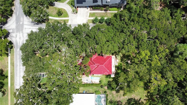 16006 Armistead Ln, Odessa, FL 33556 - aerial view