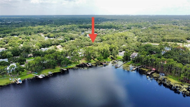 16006 Armistead Ln, Odessa, FL 33556 - aerial overview of property's location featuring a heavily wooded area and a large body of water