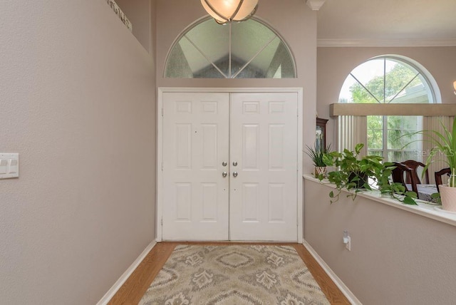 8214 Silver Mist Pl, Trinity, FL 34655 - photo 6