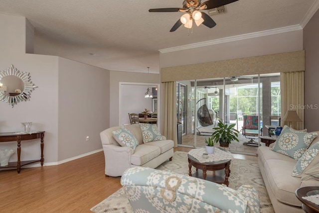 8214 Silver Mist Pl, Trinity, FL 34655 - photo 7